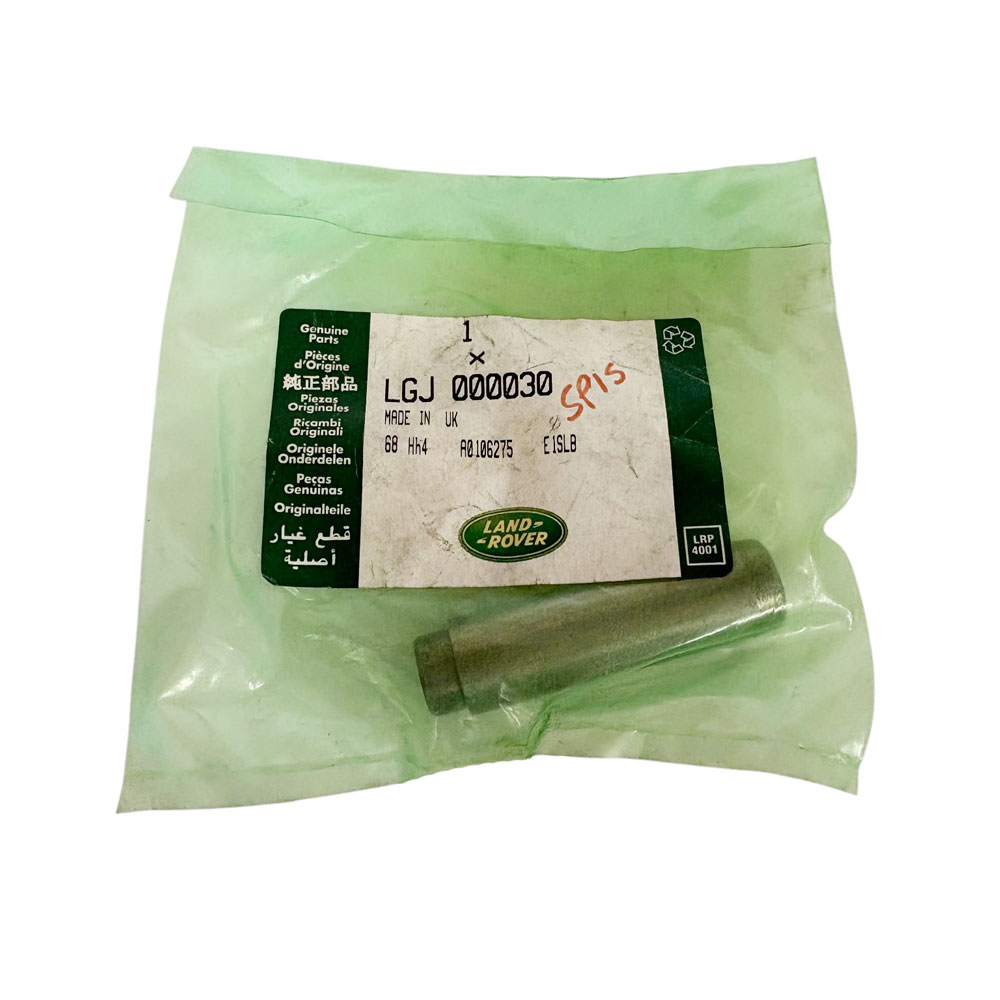 Valve Guide V8 EFI LGJ000030